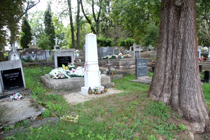 Master file0000072910