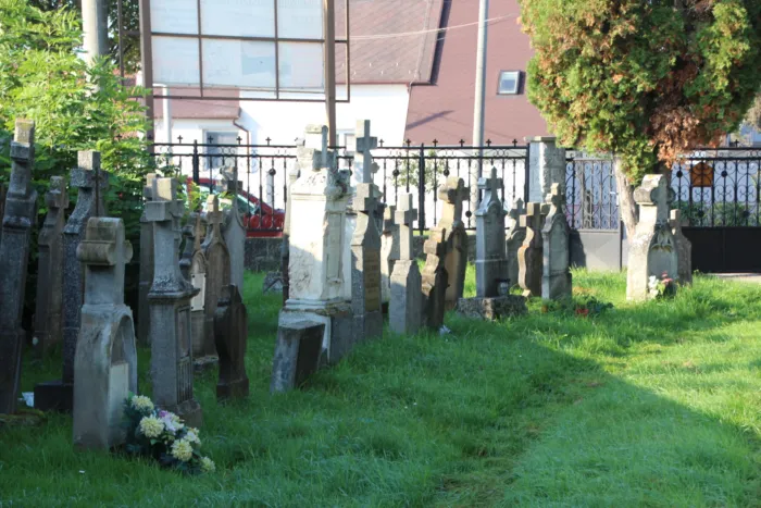 Master file0000080356