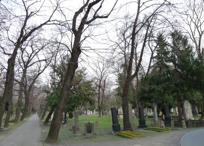 Master file0000070237