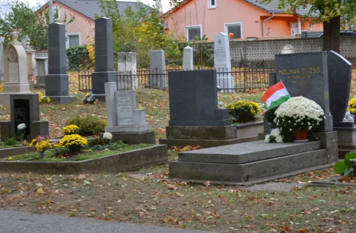 Master file0000080387