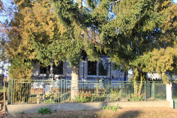 Master file0000067953