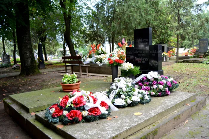 Master file0000063398