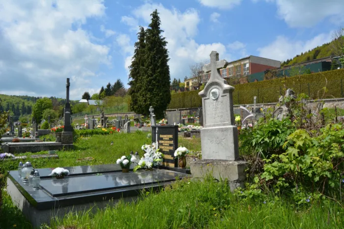 Master file0000075396