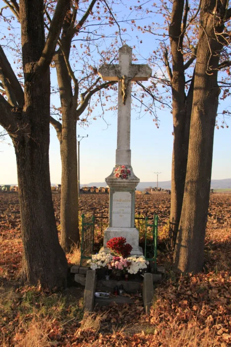 Master file0000078332