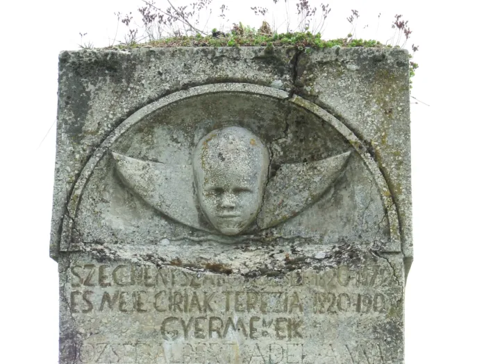 Master file0000069020