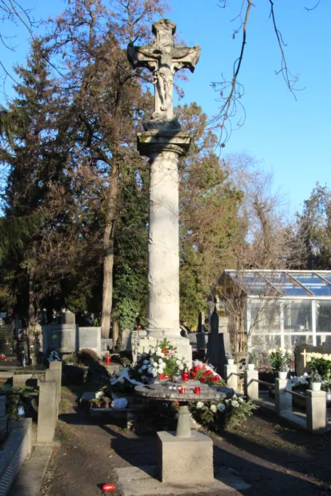 Master file0000070817