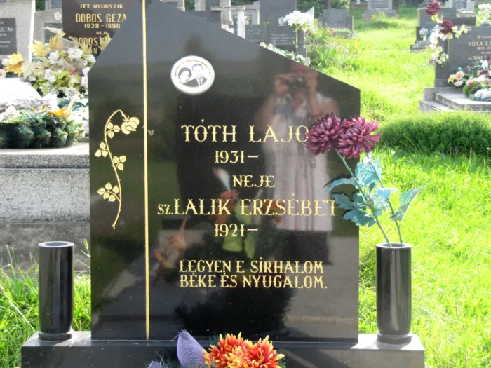 Master file0000071132