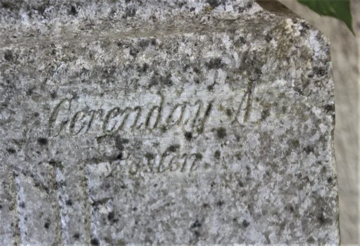 Master file0000066874