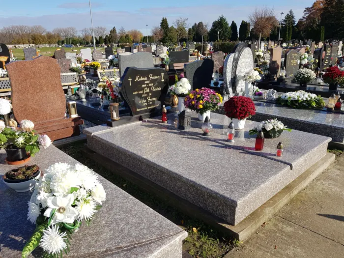 Master file0000072573