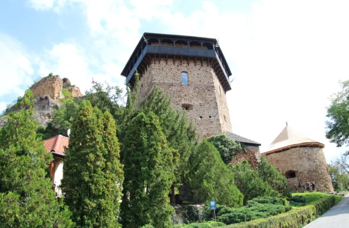 Master file0000071542