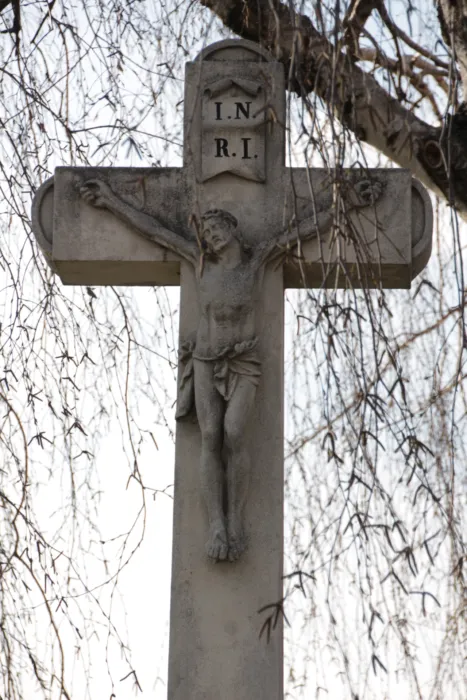 Master file0000073676