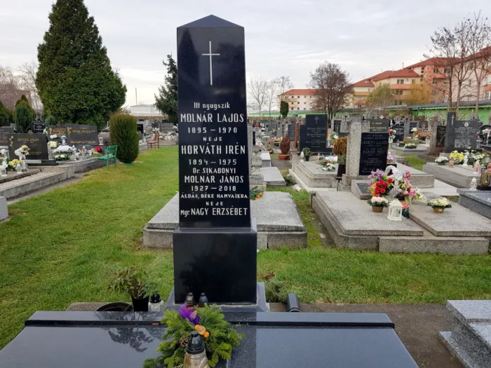 Master file0000079898