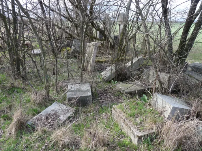 Master file0000074840