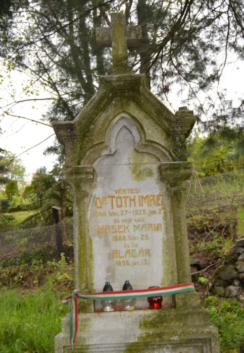 Master file0000066950