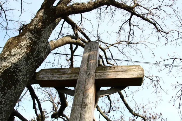 Master file0000062563