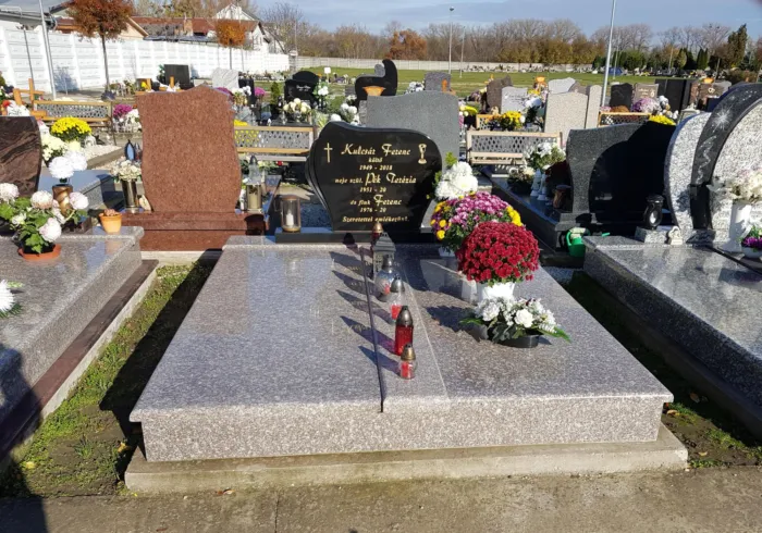 Master file0000068100