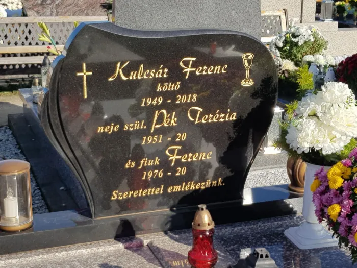 Master file0000076864