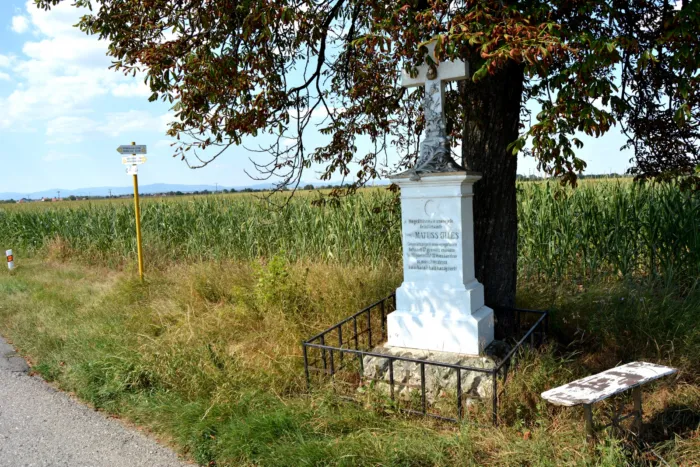 Master file0000077256