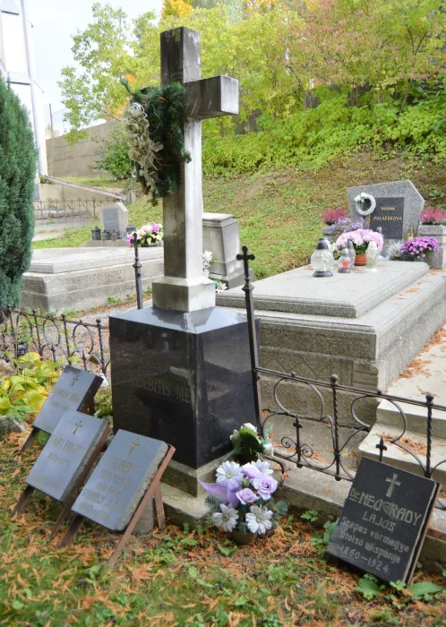 Master file0000068752