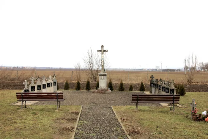 Master file0000078117