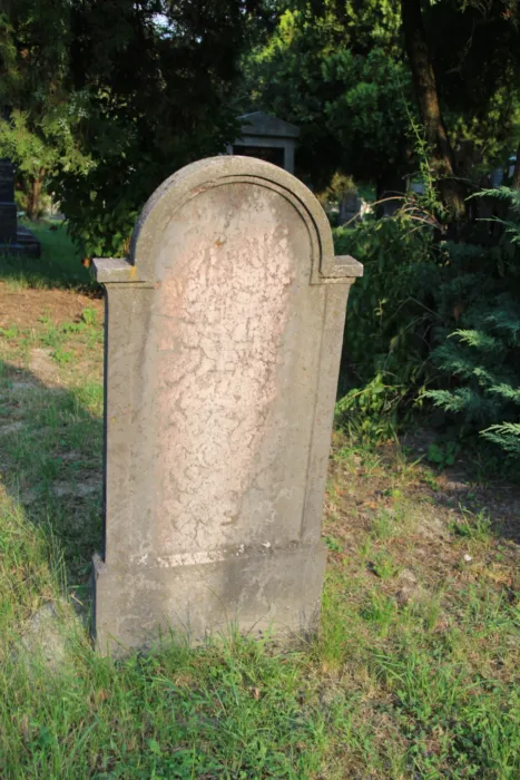 Master file0000078389