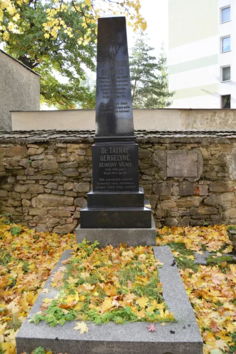 Master file0000067545