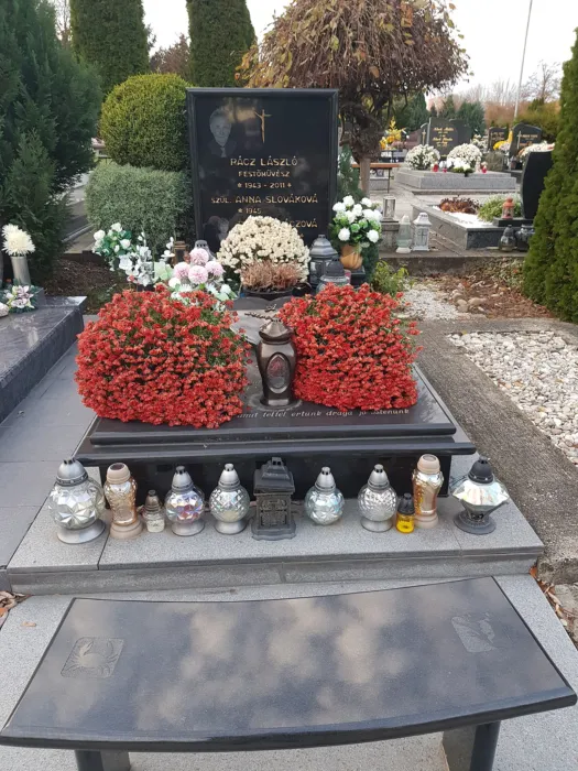 Master file0000077017