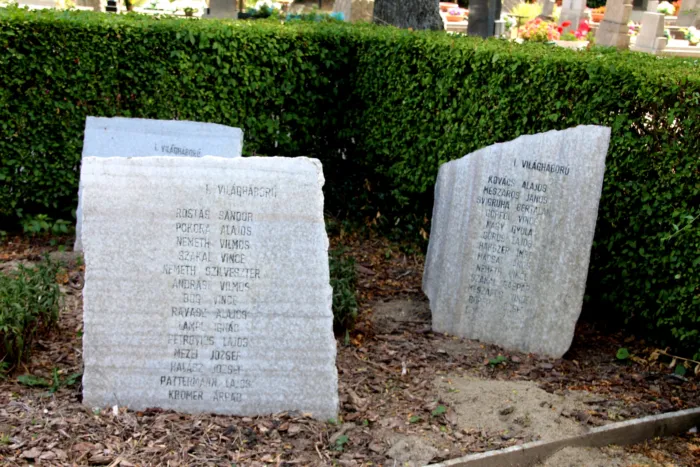 Master file0000076657