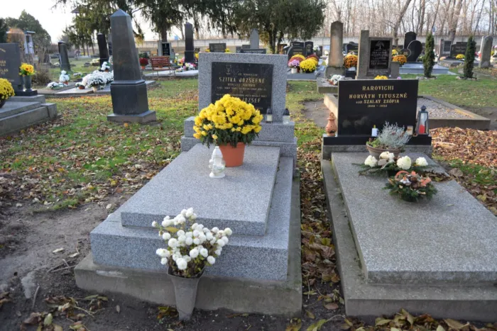 Master file0000077804