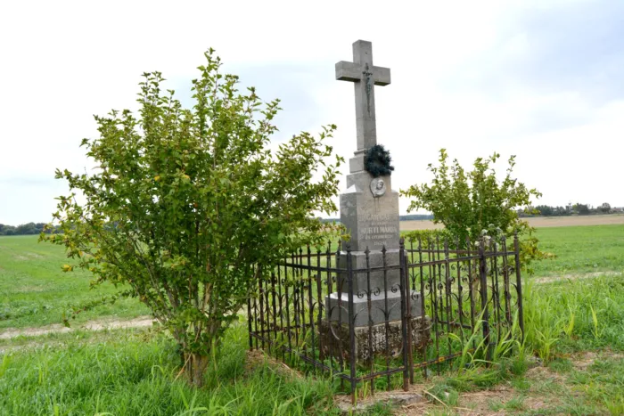 Master file0000080025