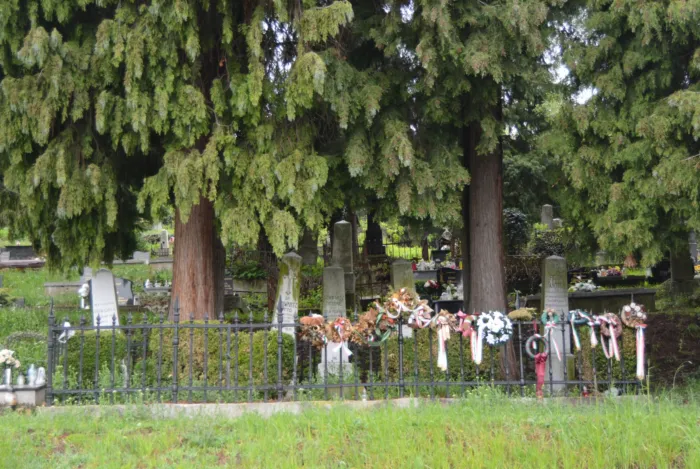 Master file0000071365