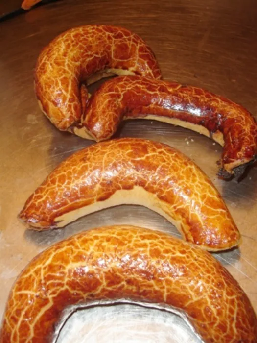 Master file0000039759