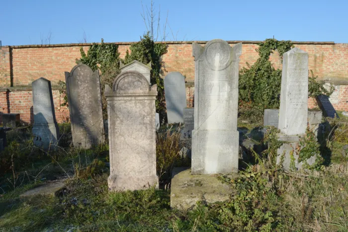 Master file0000059006