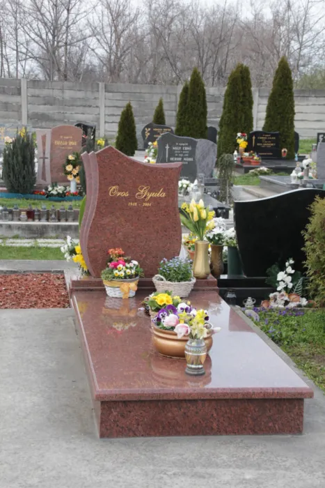 Master file0000079028