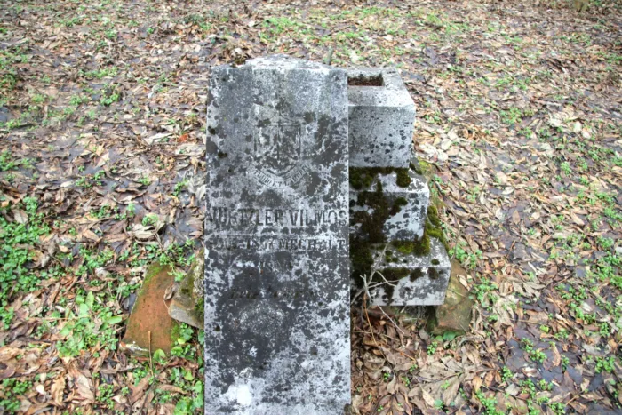 Master file0000067007