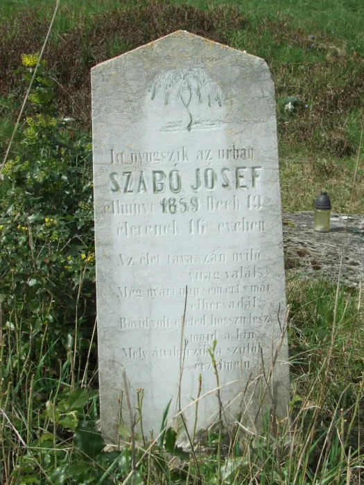 Master file0000078162