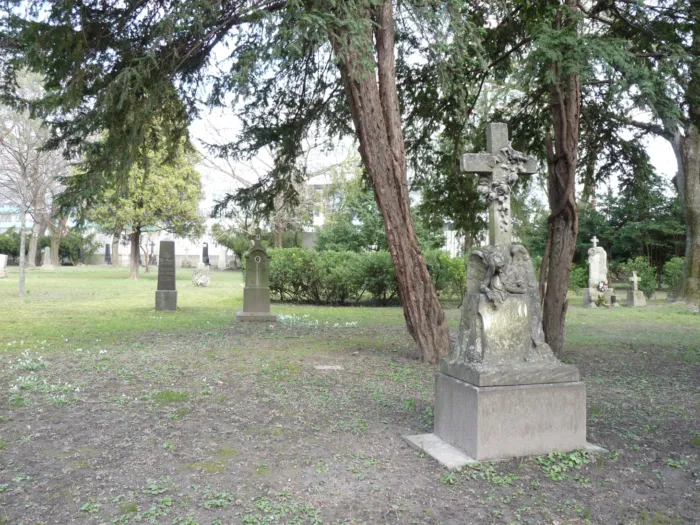 Master file0000070285