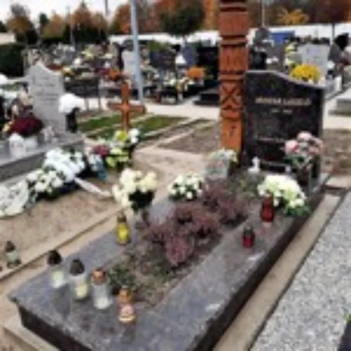 Master file0000053791