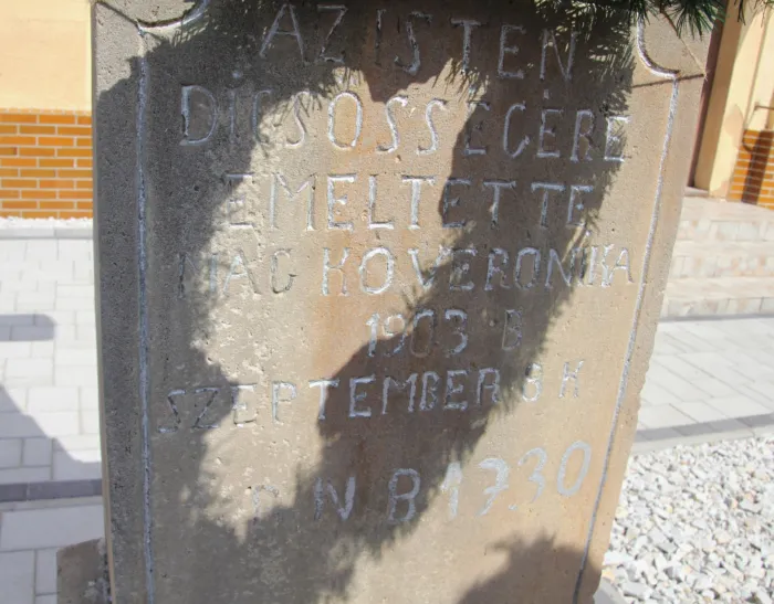 Master file0000076456