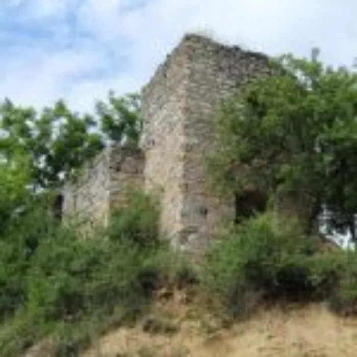 Master file0000039524