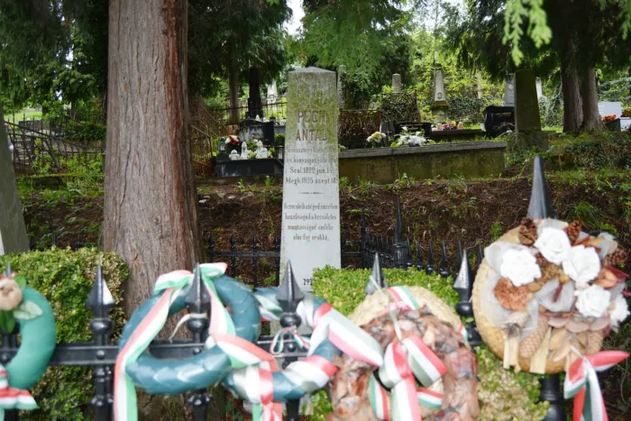 Master file0000064462