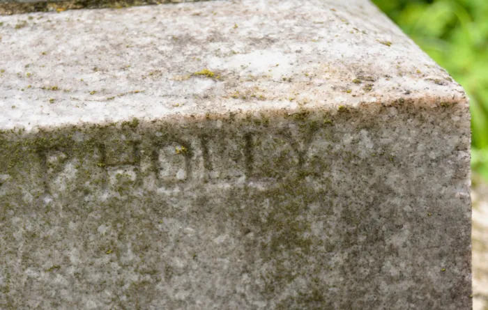 Master file0000065222