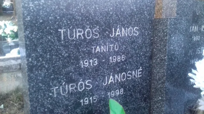 Master file0000068373