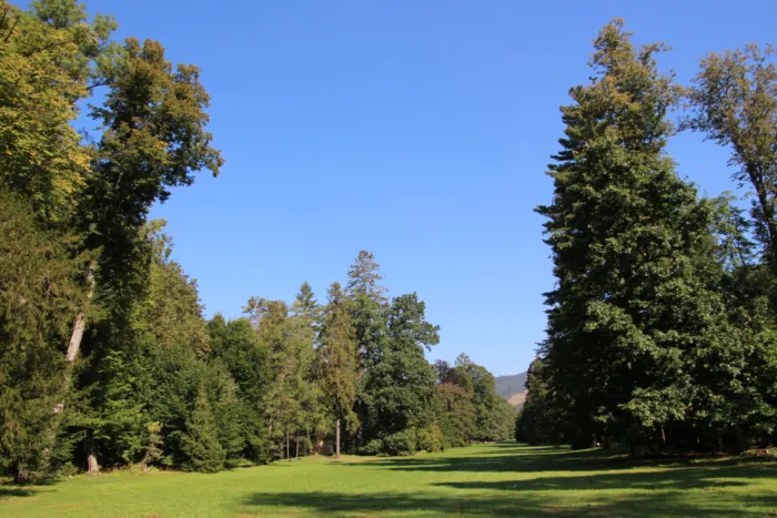 Master file0000064314