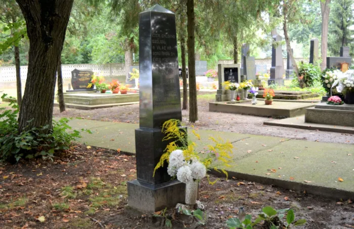 Master file0000059110