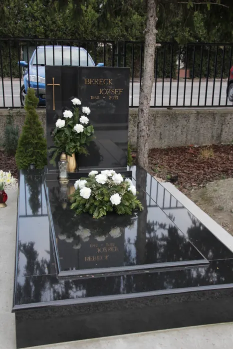 Master file0000067660