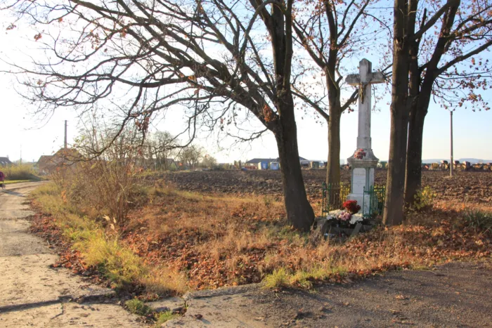 Master file0000073715