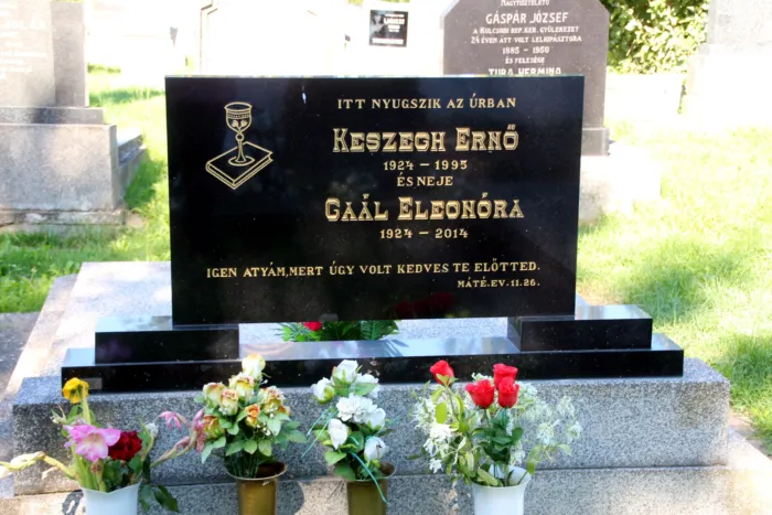 Master file0000062371