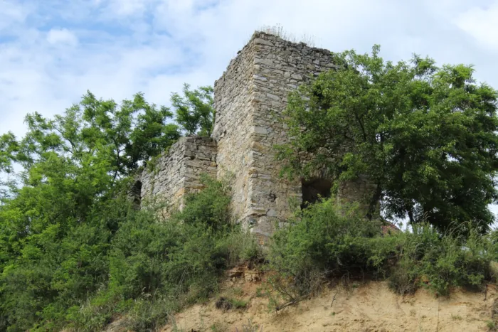 Master file0000039284