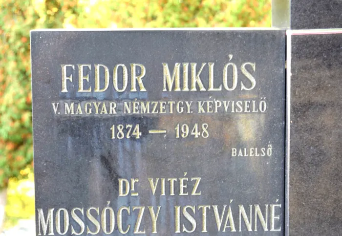 Master file0000072819